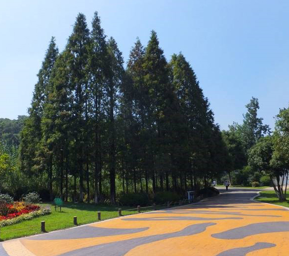 紅山森林動物園環(huán)境綜合整治一期工程